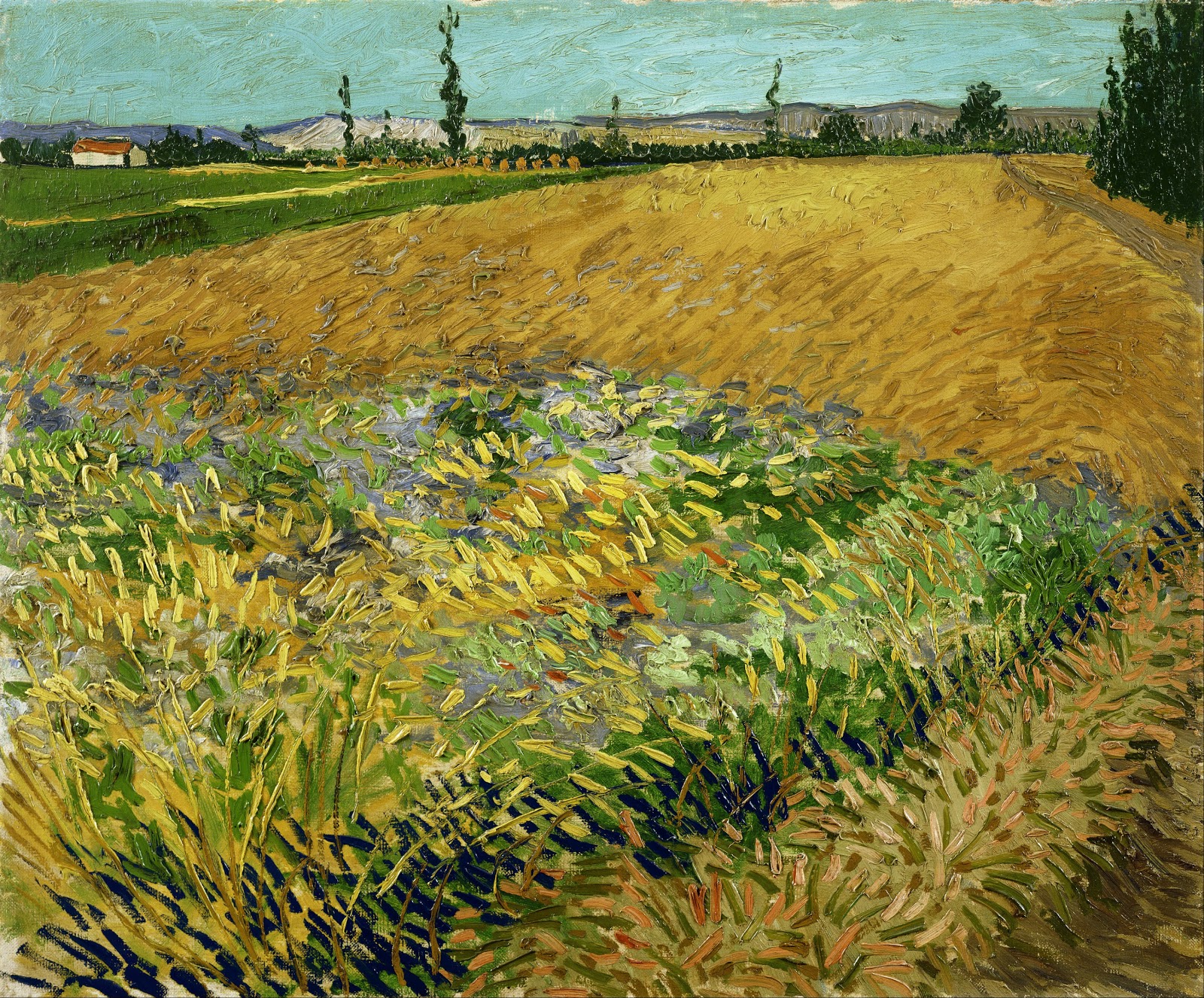 Vincent+Van+Gogh-1853-1890 (840).jpg